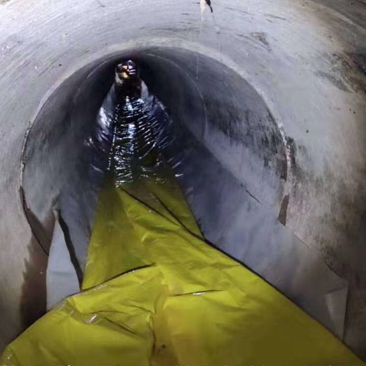 东西湖管道光固化修复